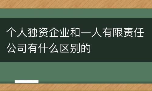 个人独资企业和一人有限责任公司有什么区别的