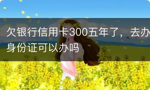 欠银行信用卡300五年了，去办身份证可以办吗