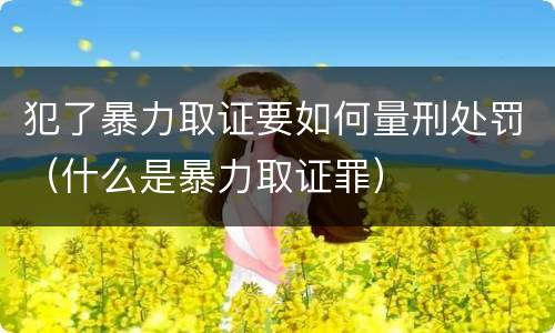 犯了暴力取证要如何量刑处罚（什么是暴力取证罪）