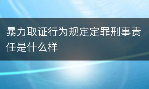 暴力取证行为规定定罪刑事责任是什么样