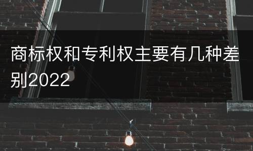 商标权和专利权主要有几种差别2022