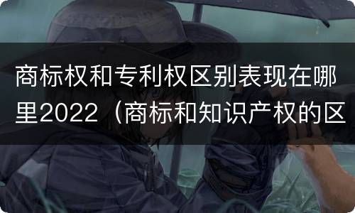 商标权和专利权区别表现在哪里2022（商标和知识产权的区别）