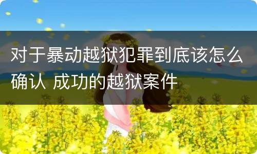 对于暴动越狱犯罪到底该怎么确认 成功的越狱案件