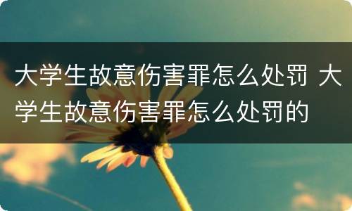 大学生故意伤害罪怎么处罚 大学生故意伤害罪怎么处罚的