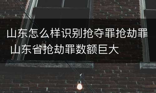 山东怎么样识别抢夺罪抢劫罪 山东省抢劫罪数额巨大