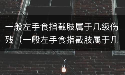 一般左手食指截肢属于几级伤残（一般左手食指截肢属于几级伤残啊）