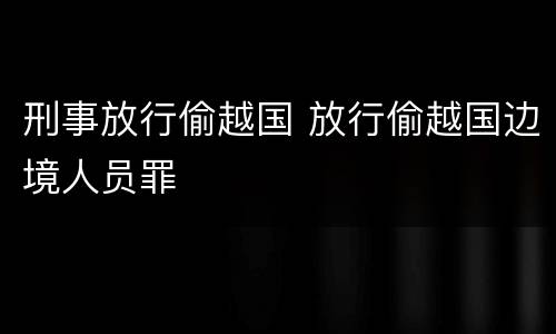 刑事放行偷越国 放行偷越国边境人员罪