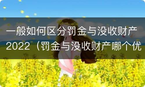 一般如何区分罚金与没收财产2022（罚金与没收财产哪个优先）