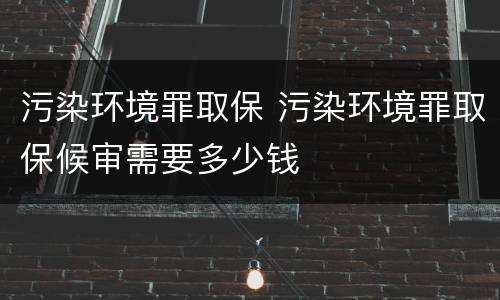 污染环境罪取保 污染环境罪取保候审需要多少钱