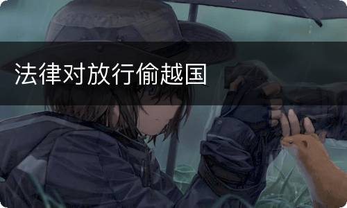 法律对放行偷越国