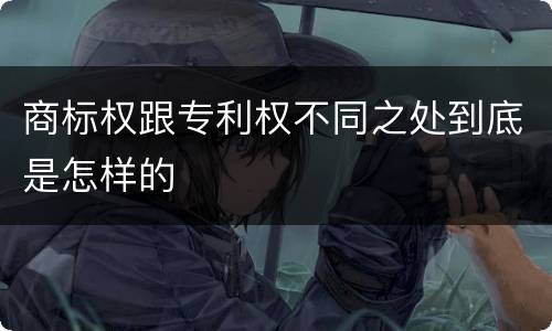商标权跟专利权不同之处到底是怎样的