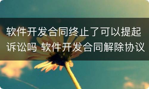 软件开发合同终止了可以提起诉讼吗 软件开发合同解除协议