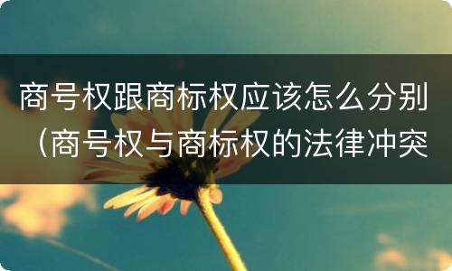 商号权跟商标权应该怎么分别（商号权与商标权的法律冲突与解决）