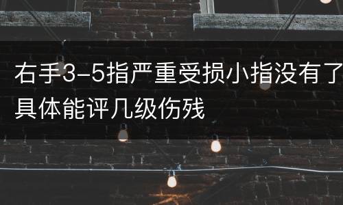 右手3-5指严重受损小指没有了具体能评几级伤残