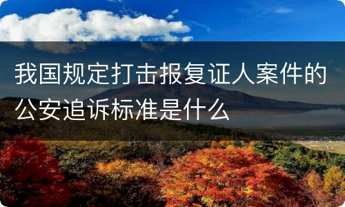 我国规定打击报复证人案件的公安追诉标准是什么