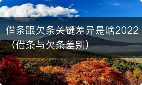 借条跟欠条关键差异是啥2022（借条与欠条差别）