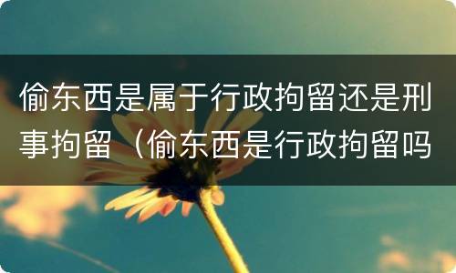 偷东西是属于行政拘留还是刑事拘留（偷东西是行政拘留吗）