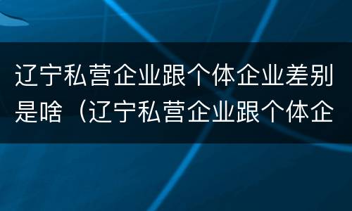 辽宁私营企业跟个体企业差别是啥（辽宁私营企业跟个体企业差别是啥呀）