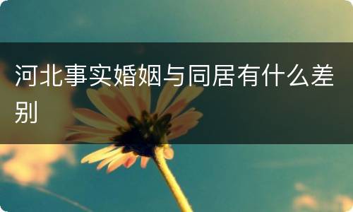 河北事实婚姻与同居有什么差别