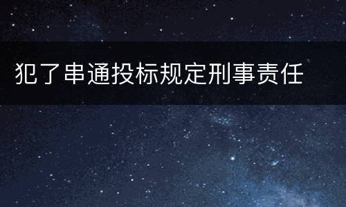 犯了串通投标规定刑事责任
