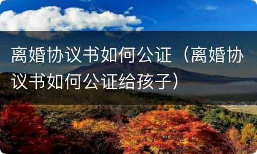 离婚协议书如何公证（离婚协议书如何公证给孩子）