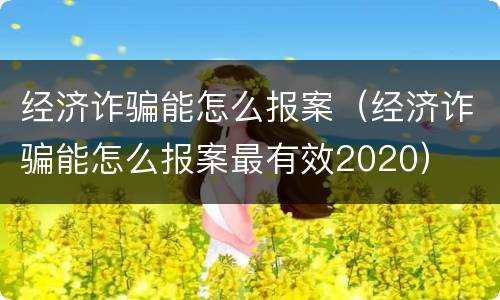 经济诈骗能怎么报案（经济诈骗能怎么报案最有效2020）