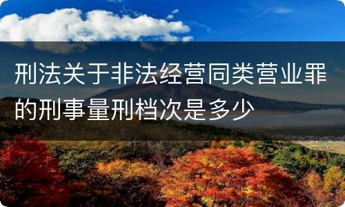 刑法关于非法经营同类营业罪的刑事量刑档次是多少