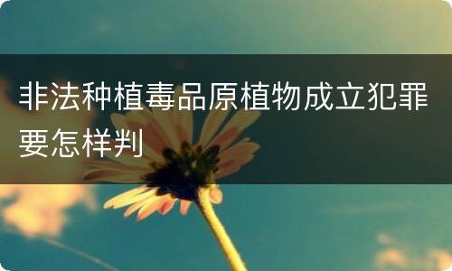 非法种植毒品原植物成立犯罪要怎样判