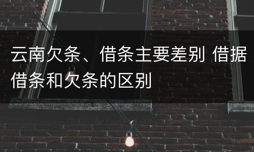 云南欠条、借条主要差别 借据借条和欠条的区别