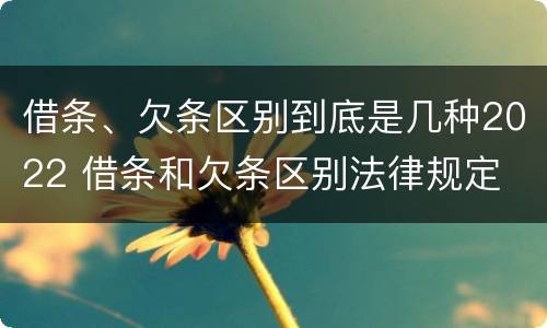 借条、欠条区别到底是几种2022 借条和欠条区别法律规定