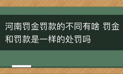 河南罚金罚款的不同有啥 罚金和罚款是一样的处罚吗