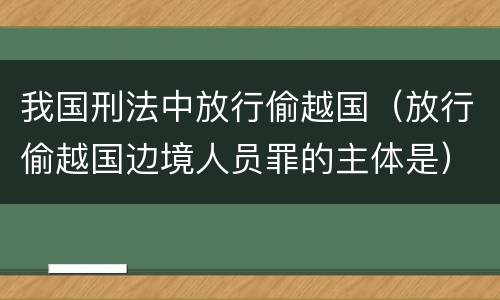 我国刑法中放行偷越国（放行偷越国边境人员罪的主体是）