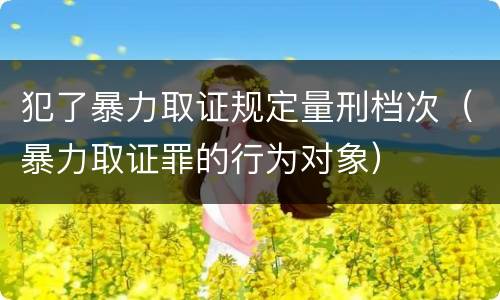 犯了暴力取证规定量刑档次（暴力取证罪的行为对象）