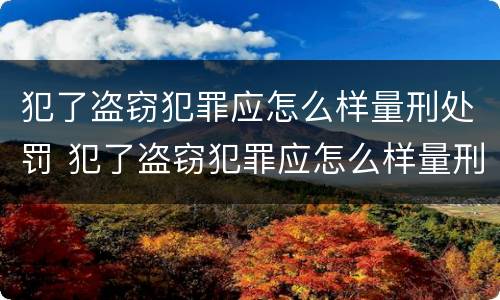 犯了盗窃犯罪应怎么样量刑处罚 犯了盗窃犯罪应怎么样量刑处罚多少钱