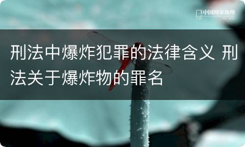 刑法中爆炸犯罪的法律含义 刑法关于爆炸物的罪名