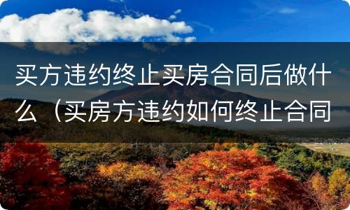 买方违约终止买房合同后做什么（买房方违约如何终止合同）