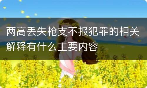 两高丢失枪支不报犯罪的相关解释有什么主要内容