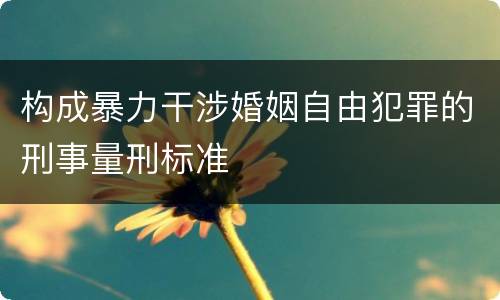 构成暴力干涉婚姻自由犯罪的刑事量刑标准