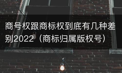 商号权跟商标权到底有几种差别2022（商标归属版权号）