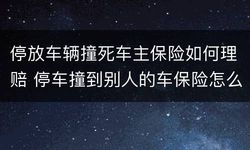 停放车辆撞死车主保险如何理赔 停车撞到别人的车保险怎么赔