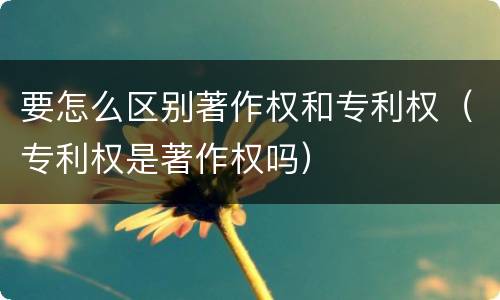 要怎么区别著作权和专利权（专利权是著作权吗）