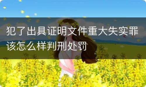犯了出具证明文件重大失实罪该怎么样判刑处罚