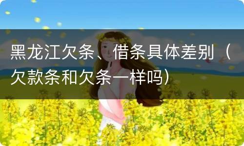 黑龙江欠条、借条具体差别（欠款条和欠条一样吗）