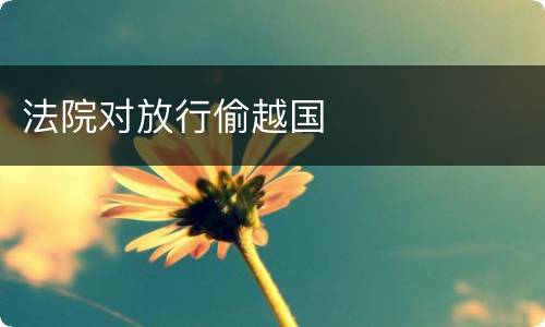 法院对放行偷越国