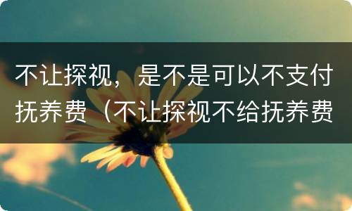不让探视，是不是可以不支付抚养费（不让探视不给抚养费）