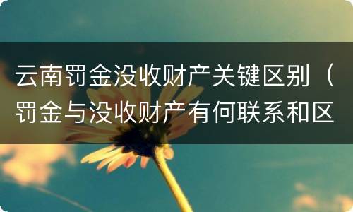 云南罚金没收财产关键区别（罚金与没收财产有何联系和区别?）