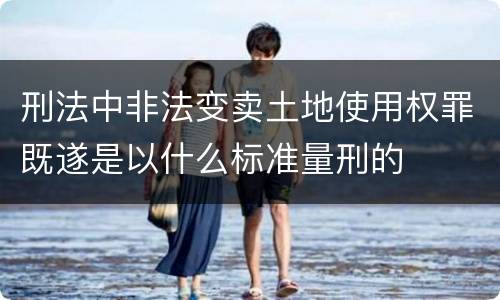 刑法中非法变卖土地使用权罪既遂是以什么标准量刑的