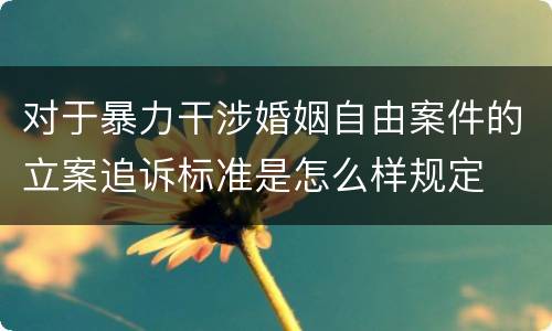 对于暴力干涉婚姻自由案件的立案追诉标准是怎么样规定