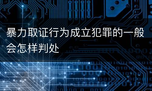暴力取证行为成立犯罪的一般会怎样判处