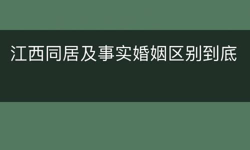江西同居及事实婚姻区别到底